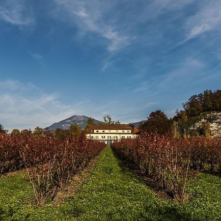 Villa Flora Anif Eksteriør bilde